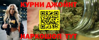 PSILOCYBIN Северобайкальск
